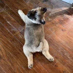 Meet your Posher, Kerrigan